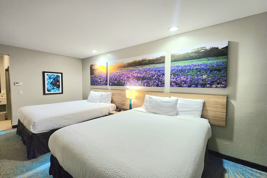 Days Inn Suites by Wyndham Katy — Guest room