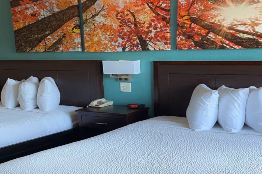 Days Inn Suites by Wyndham Springfield on I 44 — Guest room