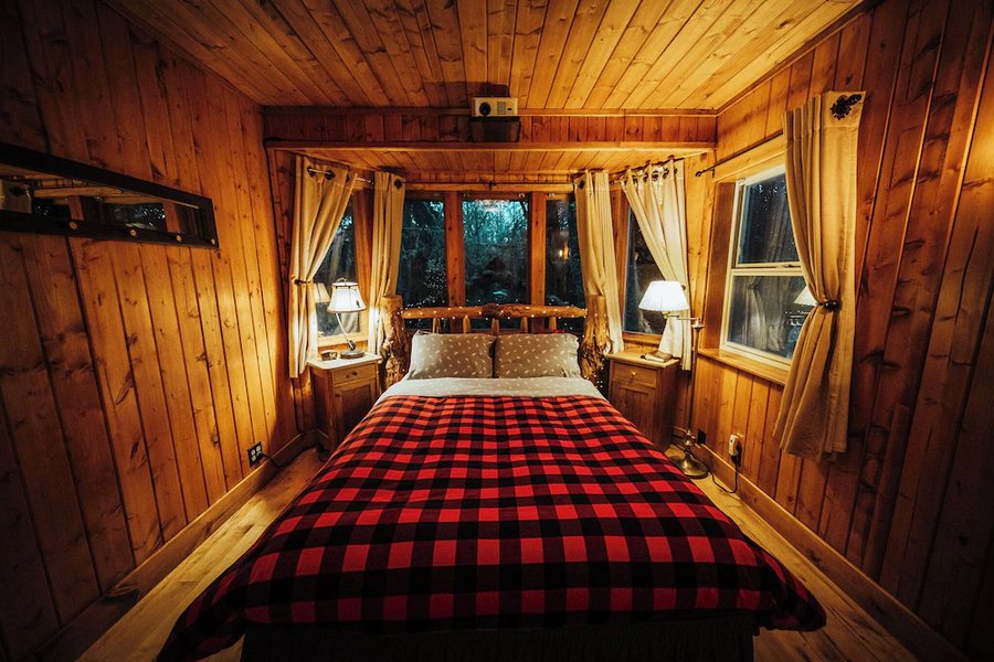 Deep Forest Cabins at Mt Rainier — Guest room