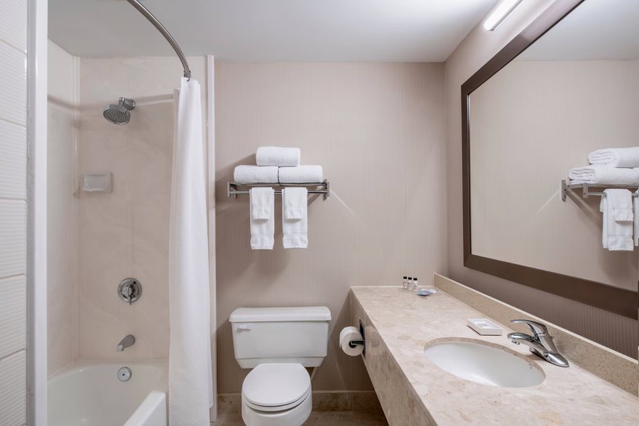 Delta Hotels Baltimore North — Bathroom