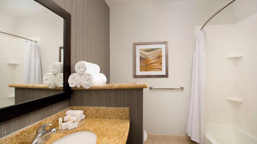 Delta Hotels By Marriott Wichita Falls Convention Center — Bathroom