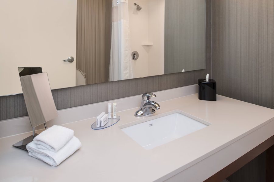 Delta Hotels Detroit Novi — Bathroom