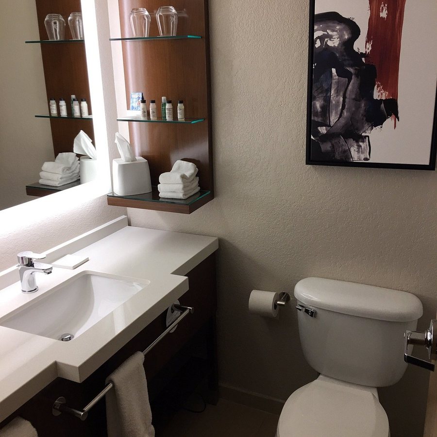 Delta Hotels Minneapolis Northeast — Bathroom
