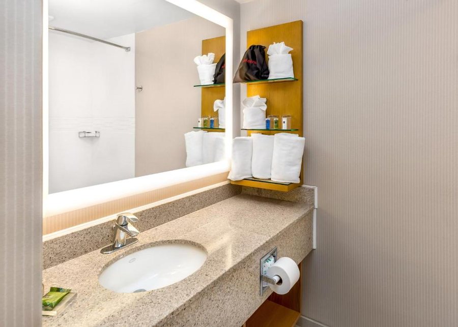 Delta Hotels Utica — Bathroom
