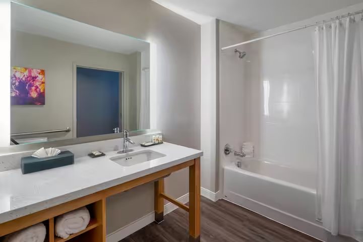 Delton Grand Resort Spa — Bathroom