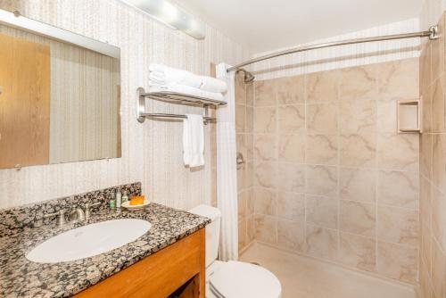 Denali Park Village — Bathroom