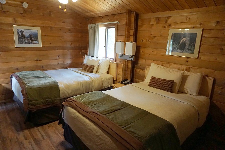 Denali Park Village — Guest room