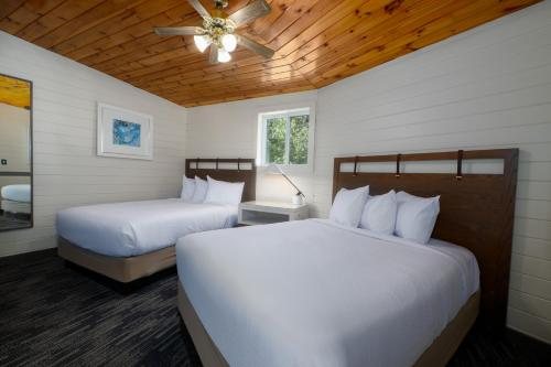 Depe Dene Lakeside Resort — Guest room