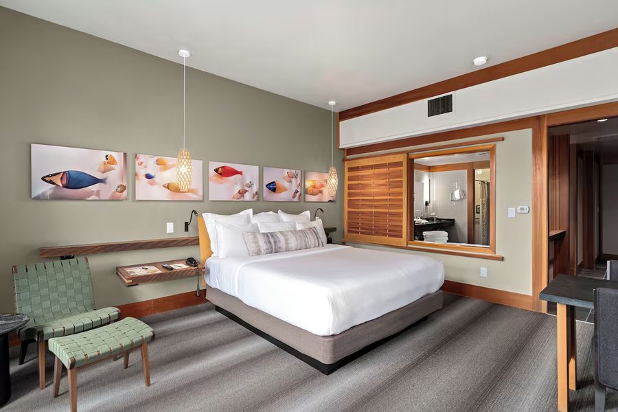 Deshka Landing Charters Lodge — Guest room