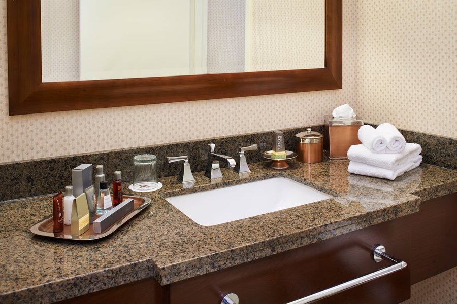 Detroit Marriott Livonia — Bathroom