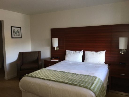 Diablo Mountain Inn — Guest room
