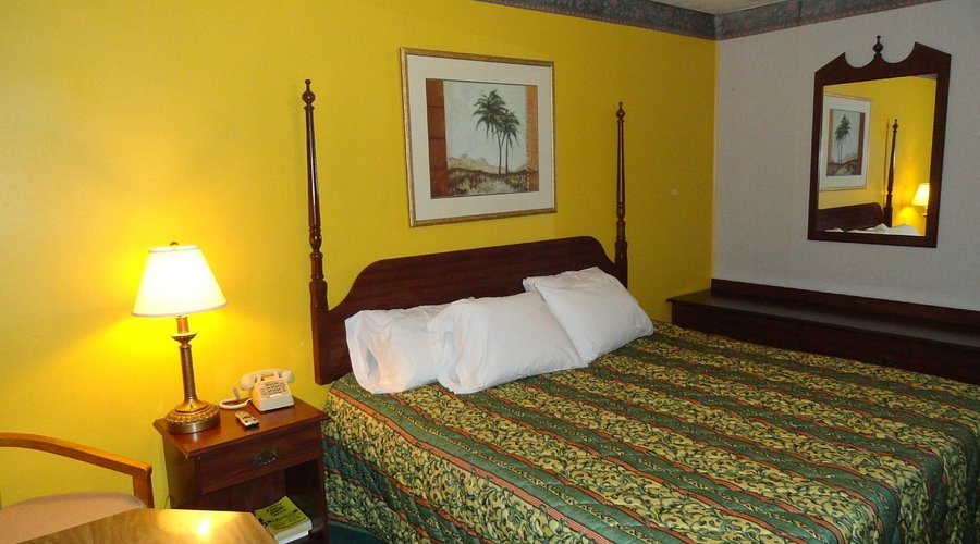 Diamond Lure RV Park — Guest room