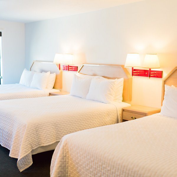 Dixie Forest RV Resort By Rjourney — Guest room
