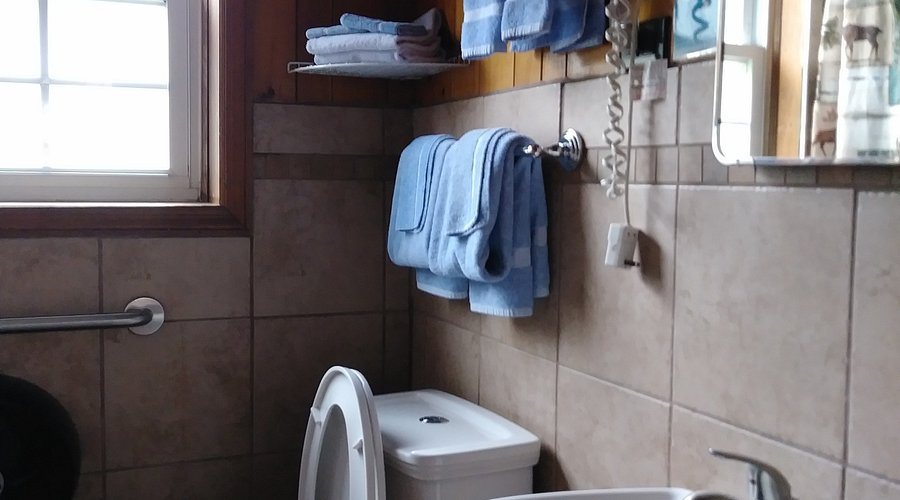 Dock s Motel Cabins — Bathroom