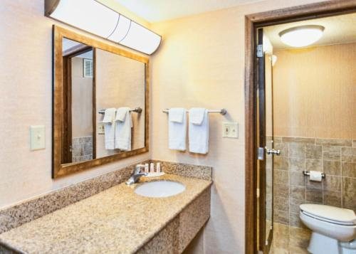 Dodges Log Lodges — Bathroom