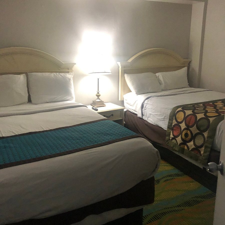 Dolphin Inn — Guest room