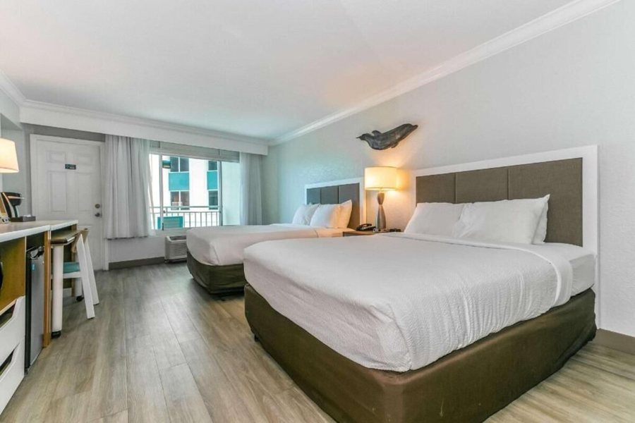 Dolphin Sands Clearwater Beach Ascend Hotel Collection — Guest room