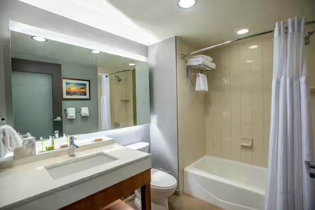 DoubleTree by Hilton Asheville Downtown — Bathroom