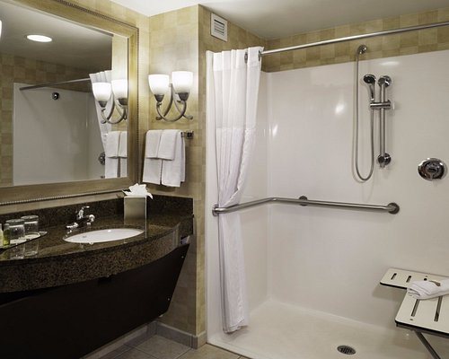 Doubletree By Hilton Hotel Bay City Riverfront Bay City Michigan — Bathroom