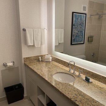 DoubleTree by Hilton Hotel Chicago Magnificent Mile — Bathroom