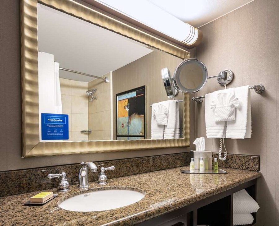 DoubleTree by Hilton Hotel Dallas Market Center — Bathroom