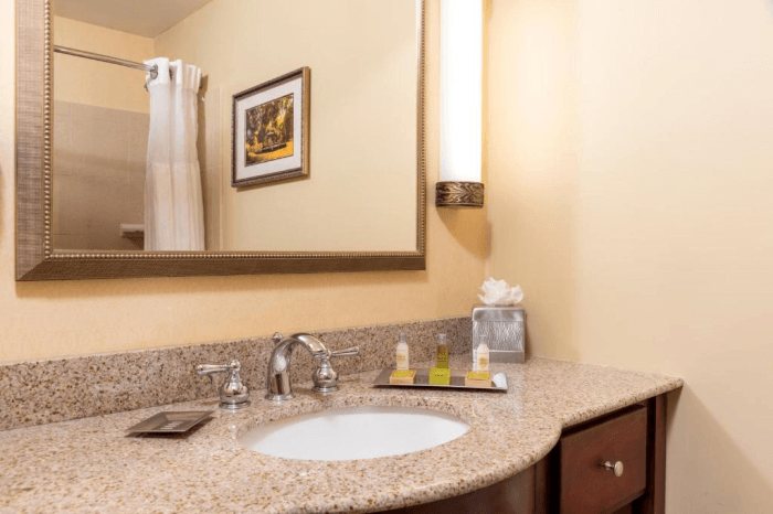 DoubleTree by Hilton Hotel Grand Rapids Airport — Bathroom