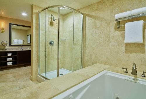 DoubleTree by Hilton Hotel Houston Hobby Airport — Bathroom
