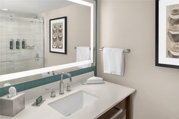 DoubleTree by Hilton Lubbock University Area — Bathroom
