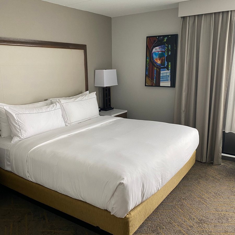DoubleTree by Hilton Madison East — Guest room