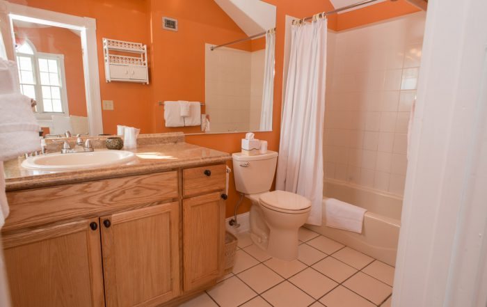 Douglas House — Bathroom