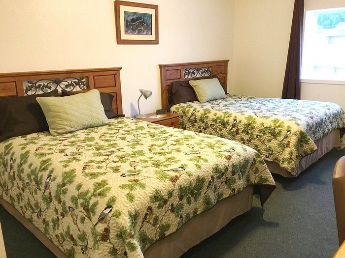 Dove Island Lodge — Guest room