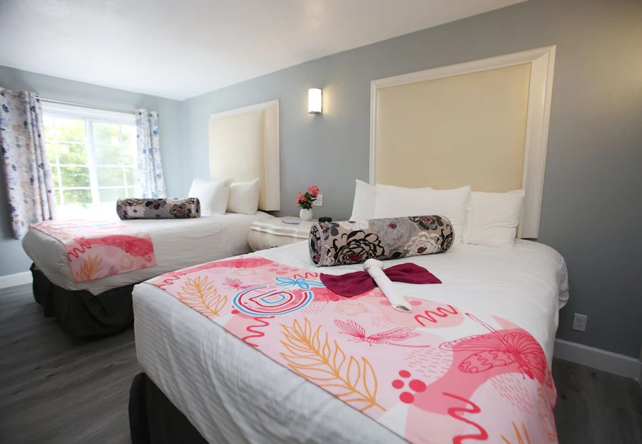 Dragonfly Inn and Suites — Guest room