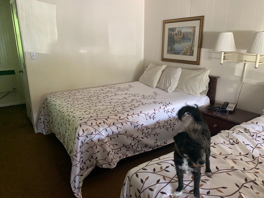 Drama Inn — Guest room