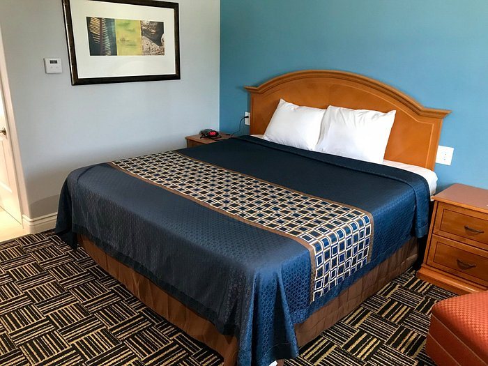 Driftwood Motel — Guest room