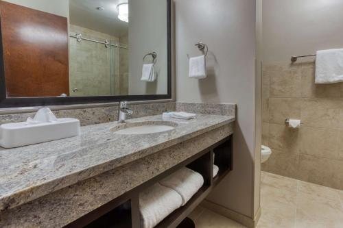 Drury Inn Suites Huntsville at the Space Rocket Center — Bathroom