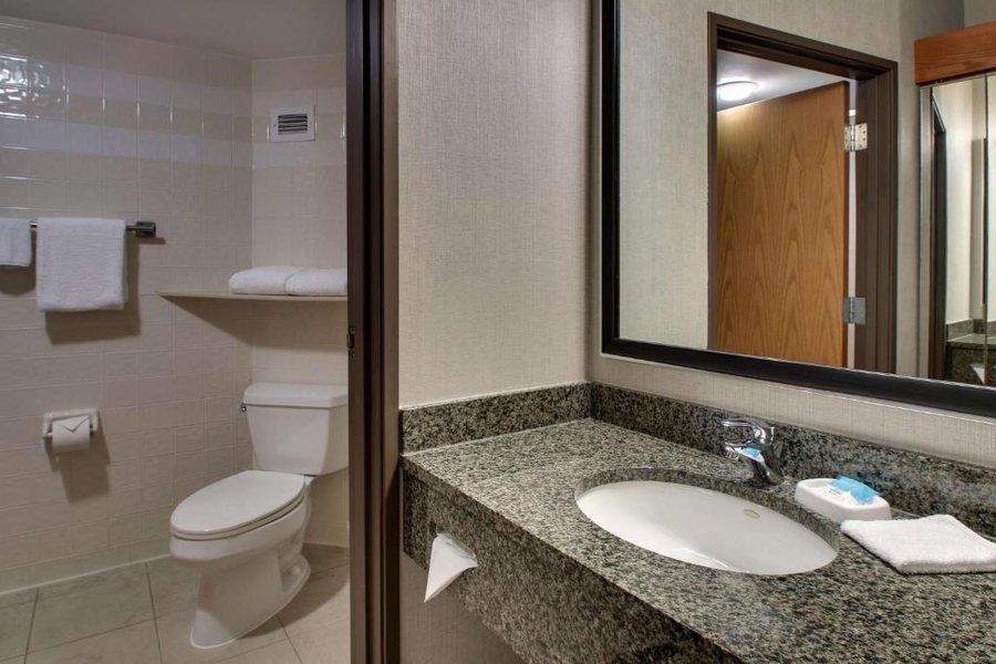 Drury Inn Suites San Antonio Northwest Medical Center — Bathroom