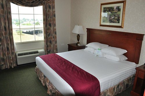 Drury Inn Suites St Louis Forest Park — Guest room