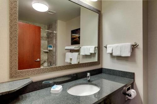 Drury Inn Suites St Louis O Fallon IL — Bathroom