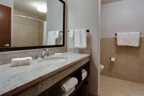 Drury Plaza Hotel Cape Girardeau Conference Center — Bathroom