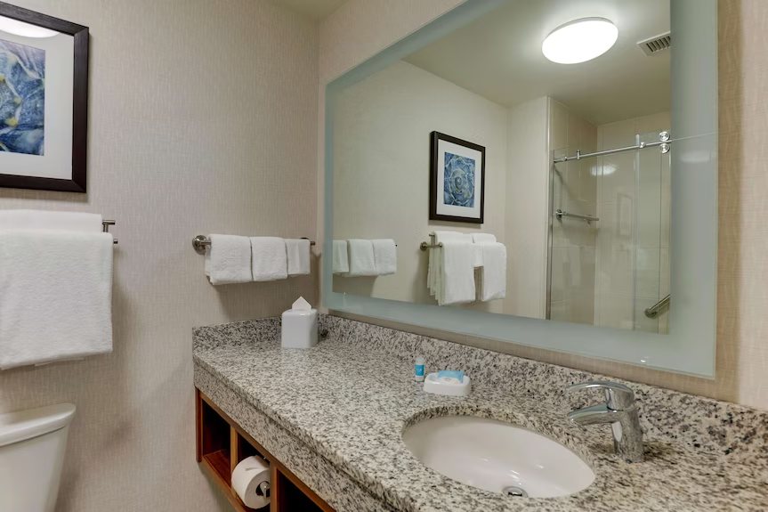 Drury Plaza Hotel New Orleans — Bathroom