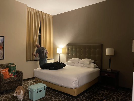 Drury Plaza Hotel Pittsburgh Downtown Pittsburgh Pennsylvania — Guest room
