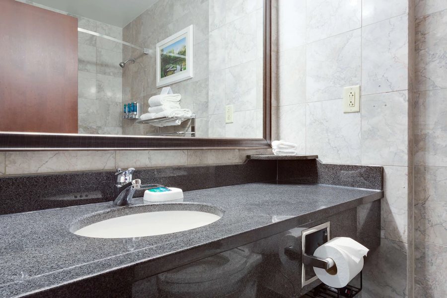 Drury Plaza Hotel St Louis Union Station — Bathroom