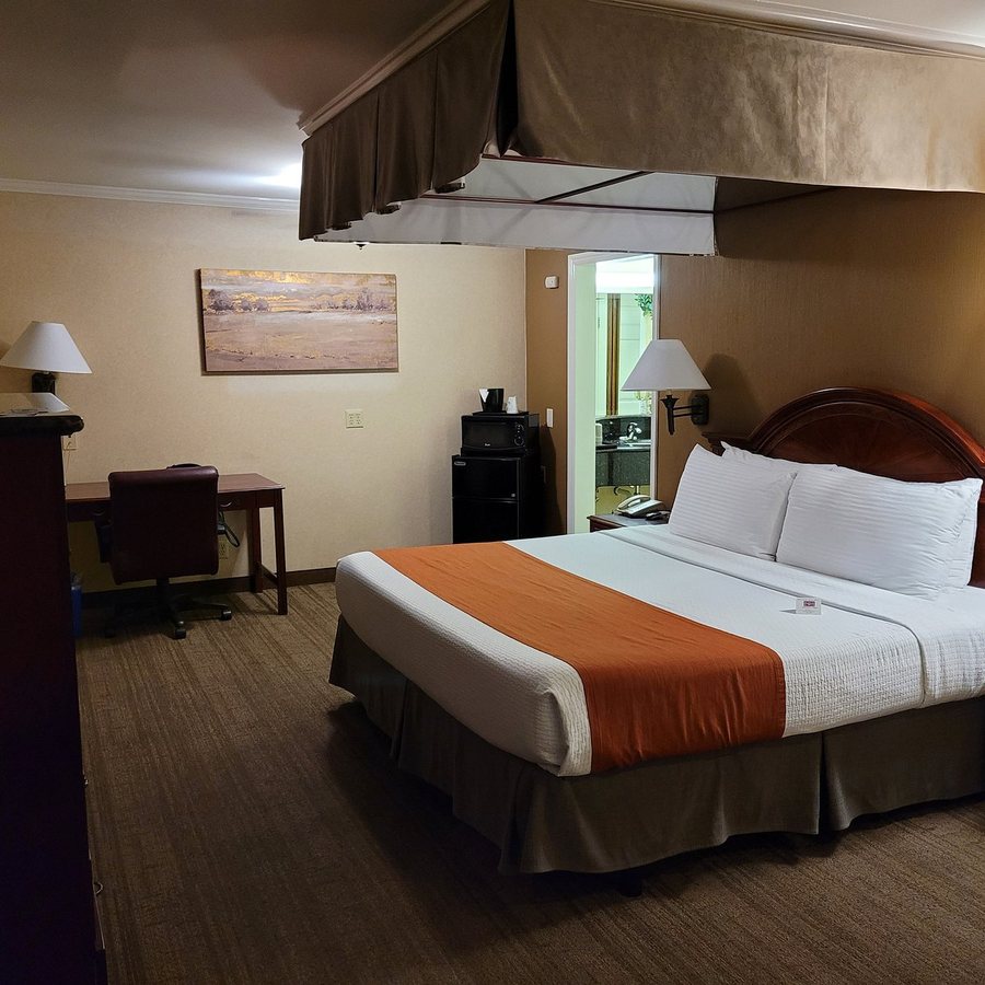 Dynasty Suites Redlands — Guest room