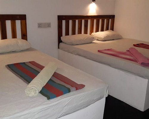 Eagle Safari Family Bungalow — Guest room