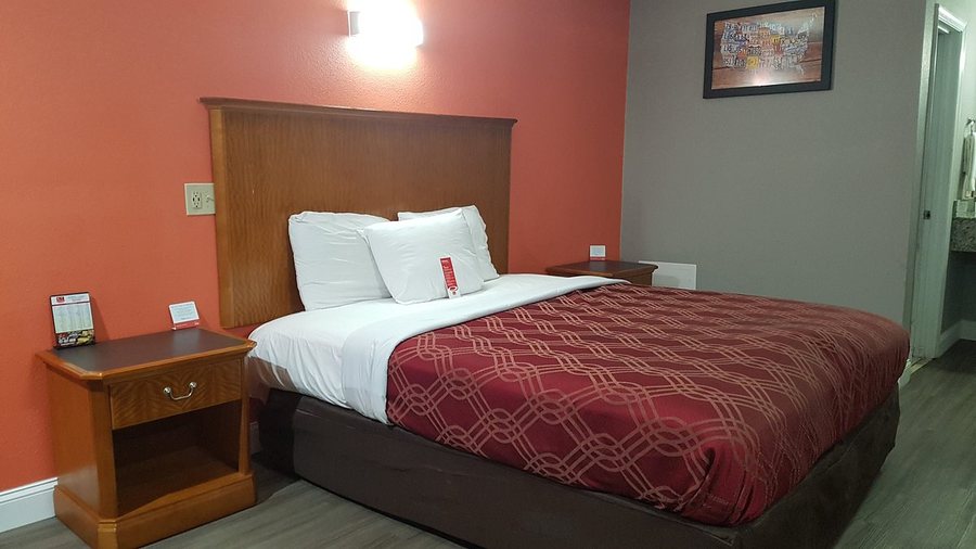 Econo Lodge Airport Kansas City — Guest room