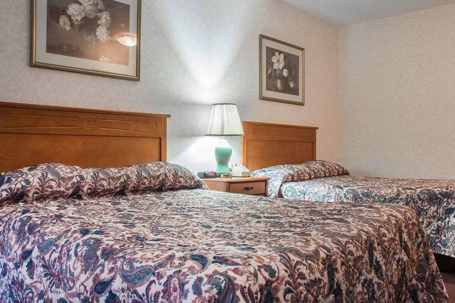 Econo Lodge At The Falls North — Guest room