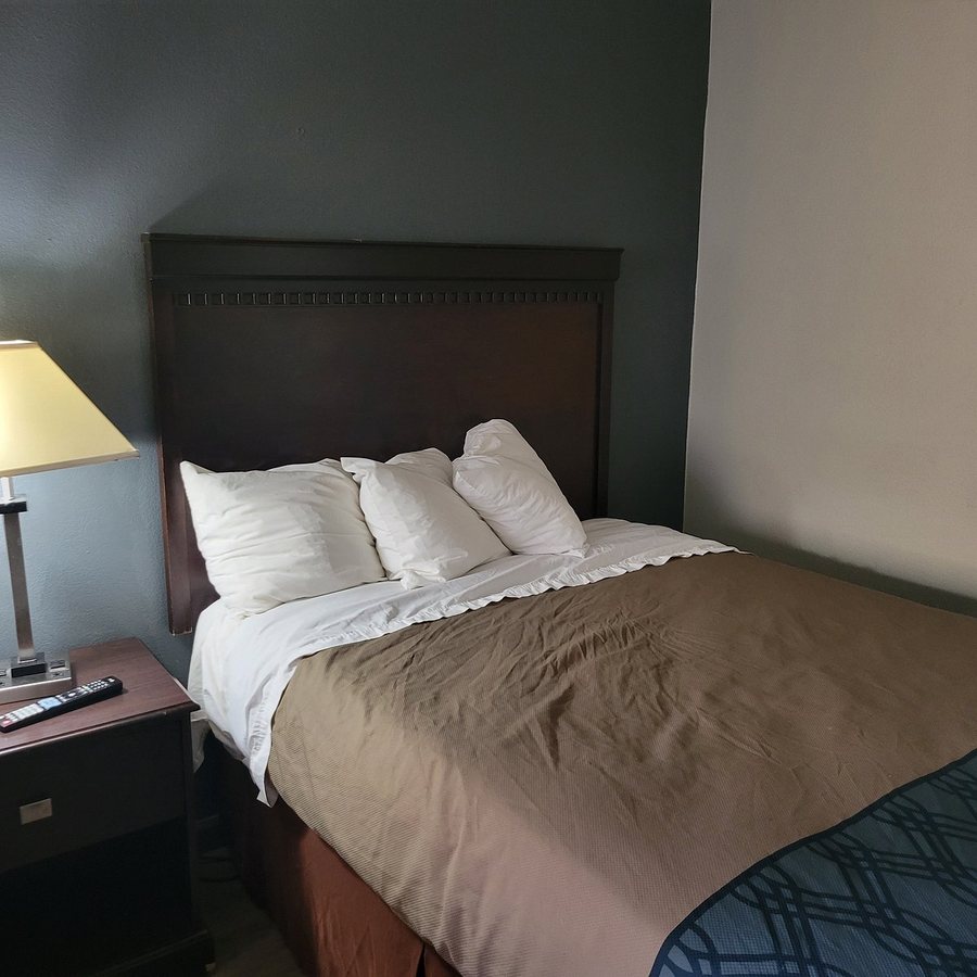 Econo Lodge Biltmore — Guest room
