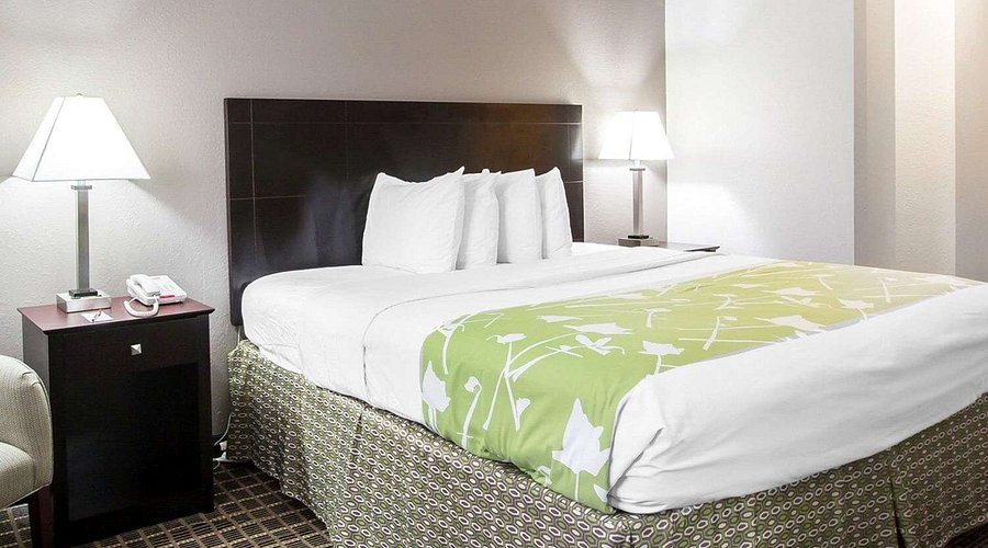 Econo Lodge — Guest room