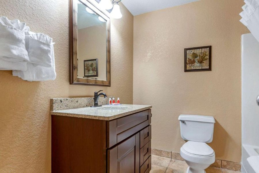 Econo Lodge Black Hills — Bathroom