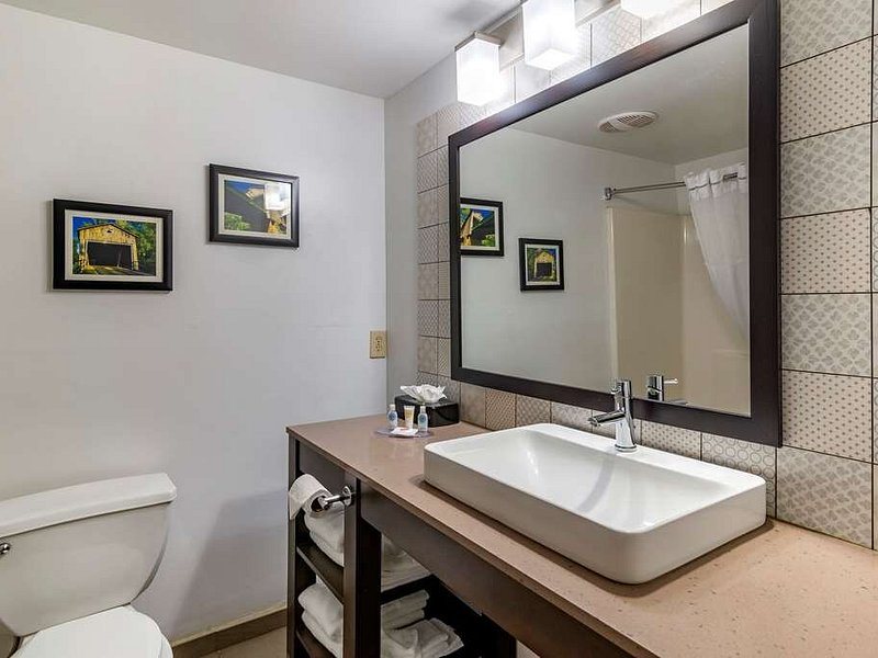 Econo Lodge Cartersville Emerson Lake Point — Bathroom